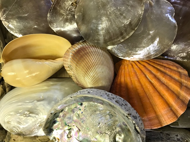 Coquille St. Jacques? We have some cool bases……
