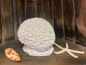 Honeycomb Coral in Resin