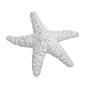 Sugar Starfish in Resin