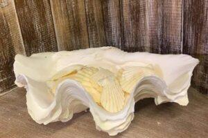 Large Real Clam Shell 27 cms