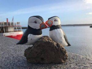 Double puffins on rock