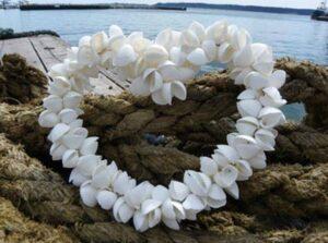 Heart Cockle Shell Garland