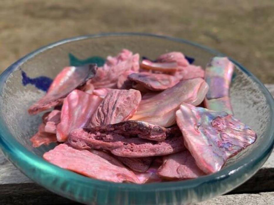 Pink Abalone Pieces - Crafting