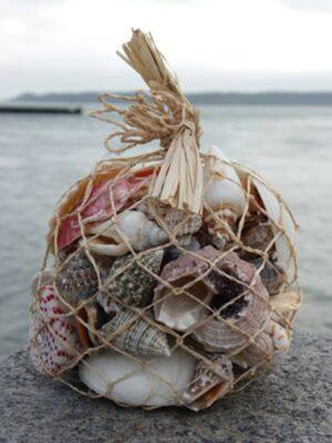 The Dorset Gifts Natural Shell Bag