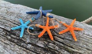 hanging starfish