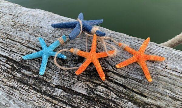 hanging starfish