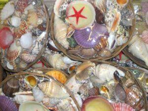 Shell Assortment Basket with Starfish 6ins