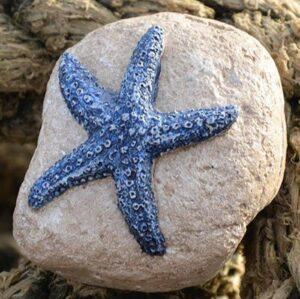 Starfish Pebble Paperweight