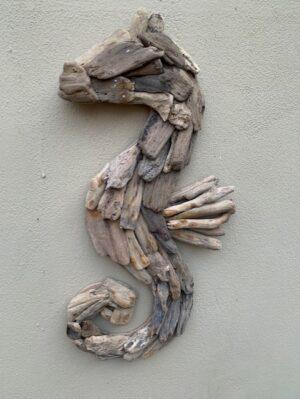 seahorse in driftwood
