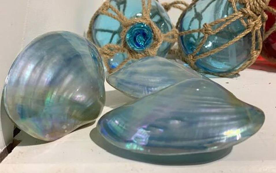 Polished Turquoise Oyster Shell
